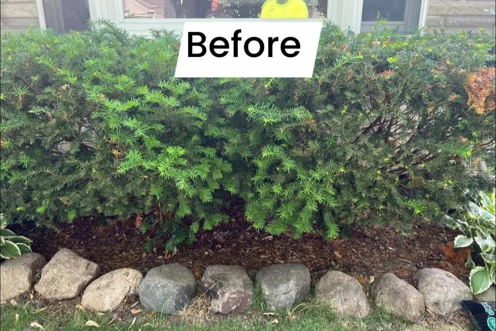 Local residential landscaping experts serving Livonia, MI - Dickeys Landscaping