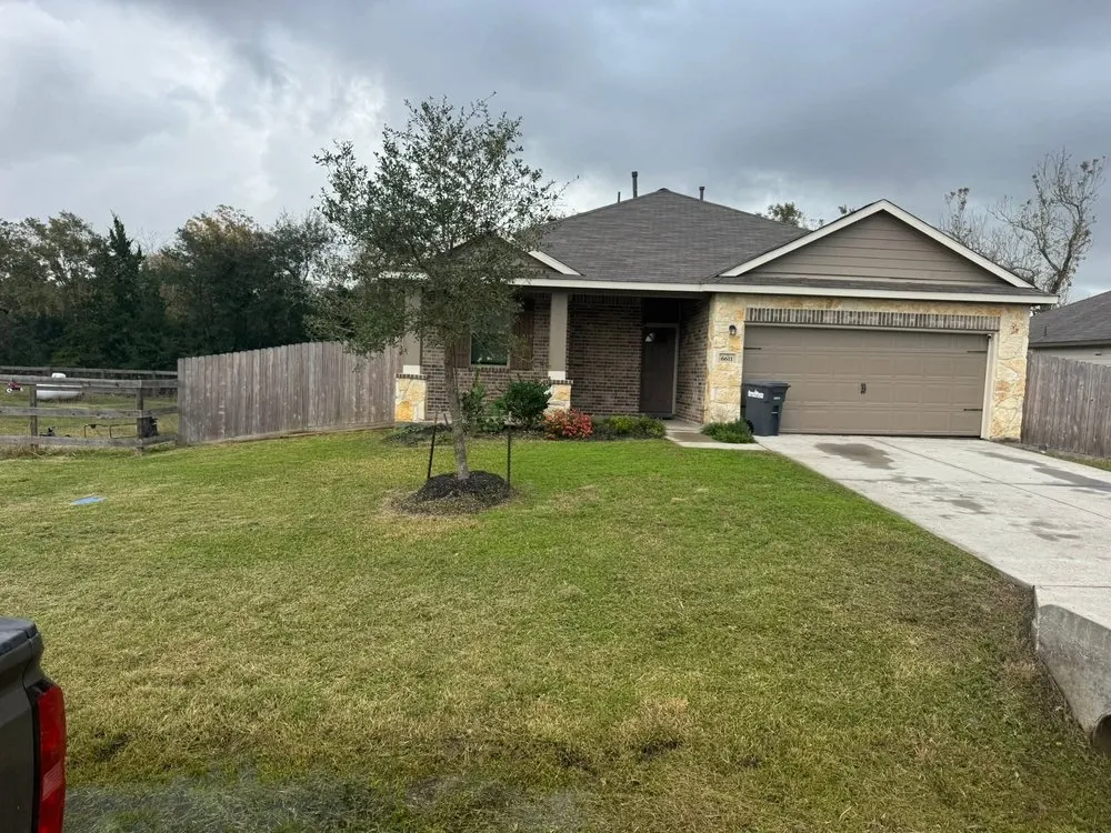 Affordable yard cleanup service for outdoor upgrades in Texas City, TX by Dickey's Tree Trimming & Landscaping