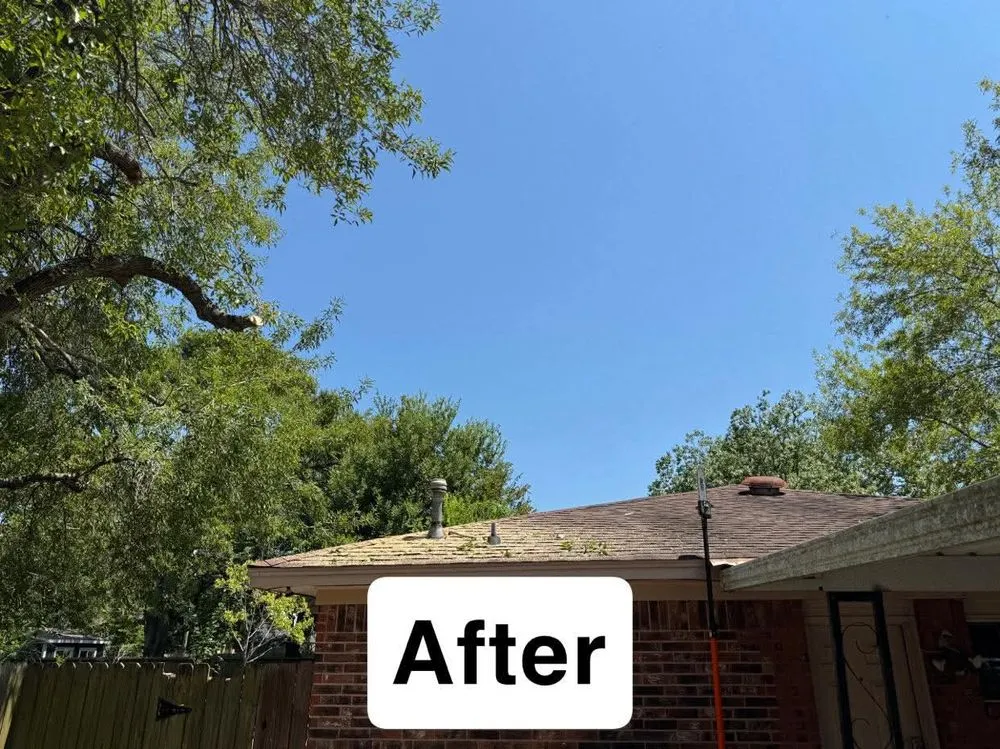 Reliable landscaping services for beautiful yards across Texas City, TX - Dickey's Tree Trimming & Landscaping