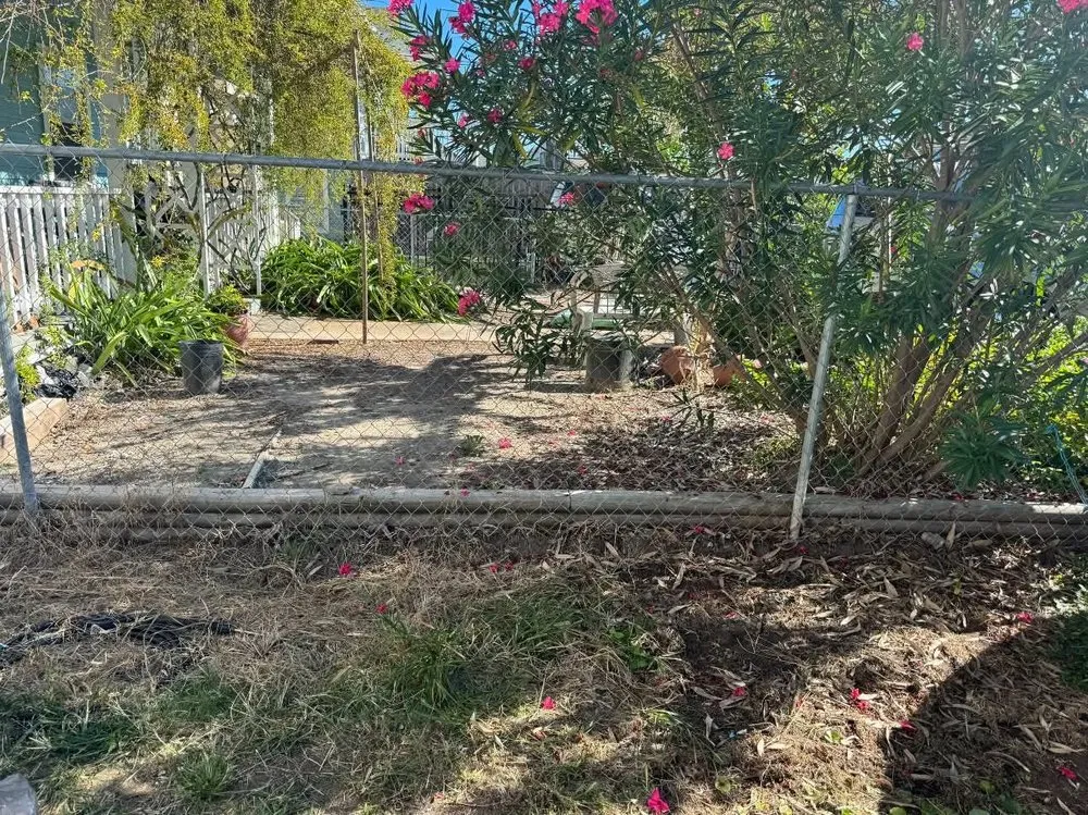 Local lawn mowing service experts serving Texas City, TX - Dickey's Tree Trimming & Landscaping