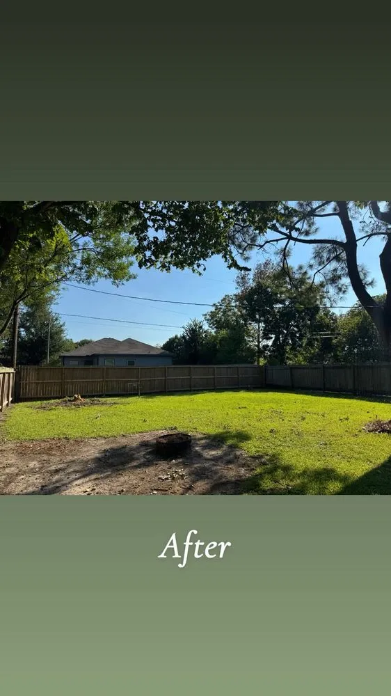 Reliable yard maintenance for year-round maintenance across Texas City, TX - Dickey's Tree Trimming & Landscaping