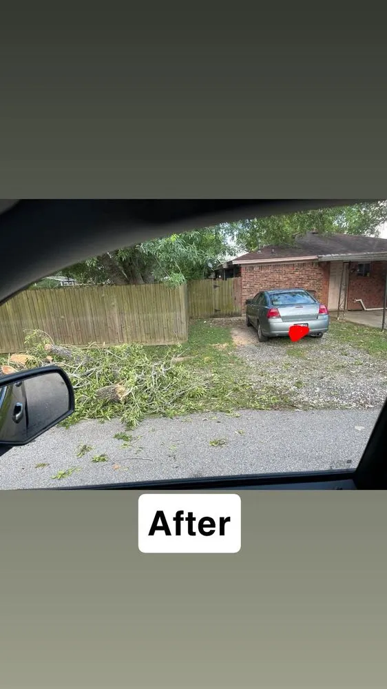 Reliable garden landscaping experts serving Texas City, TX - Dickey's Tree Trimming & Landscaping