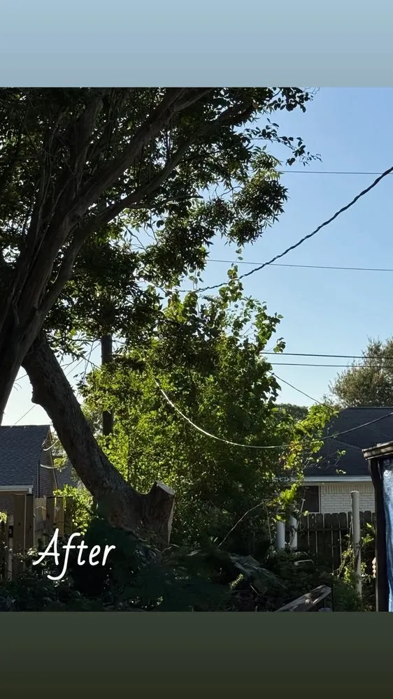 Local garden landscaping for homes across Texas City, TX - Dickey's Tree Trimming & Landscaping