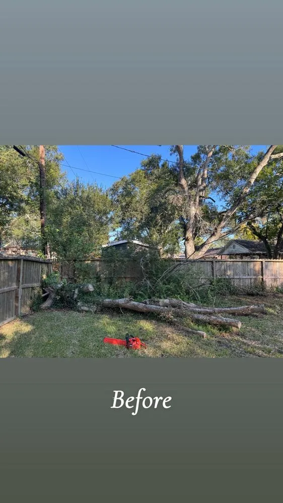 Expert garden landscaping in Texas City, TX - Dickey's Tree Trimming & Landscaping