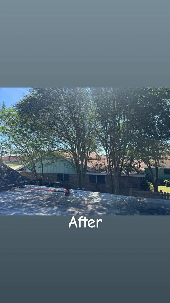 Trusted outdoor landscaping in Texas City, TX by Dickey's Tree Trimming & Landscaping