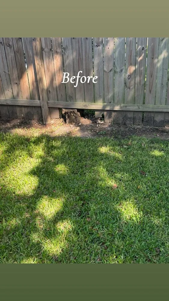 Trusted residential landscaping for homes in Texas City, TX by Dickey's Tree Trimming & Landscaping