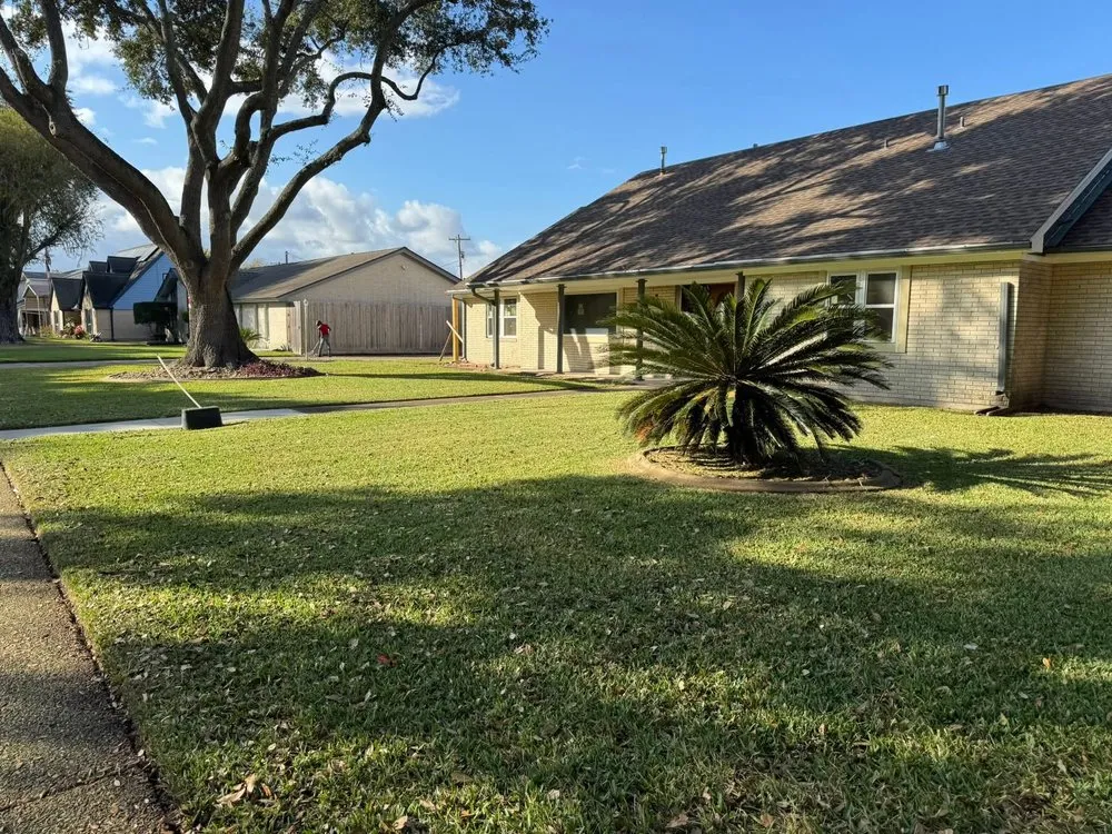 Reliable yard maintenance in Texas City, TX by Dickey's Tree Trimming & Landscaping