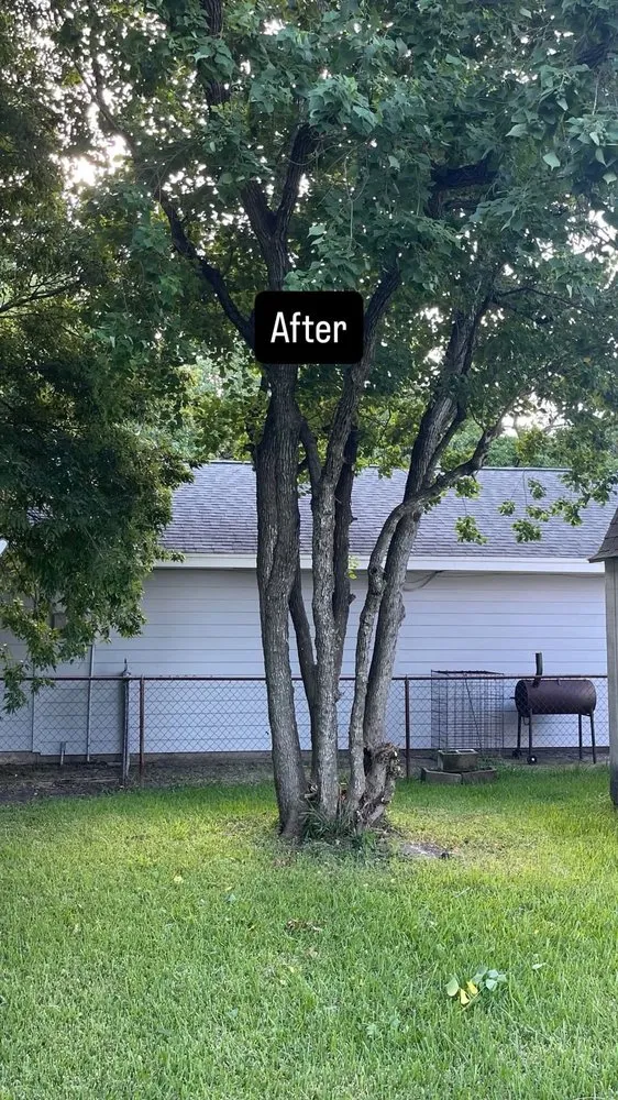 Custom landscape design in Texas City, TX by Dickey's Tree Trimming & Landscaping