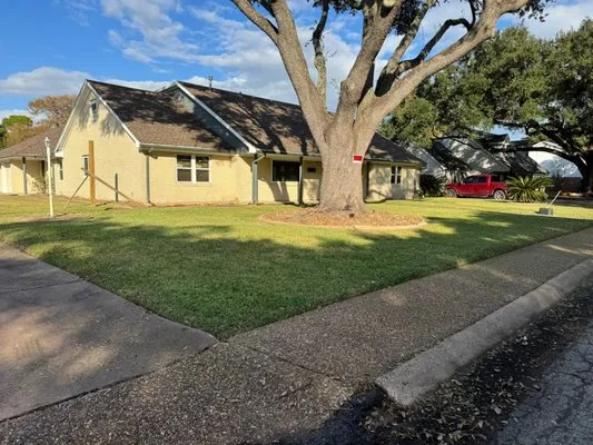 Dickey's Tree Trimming & Landscaping