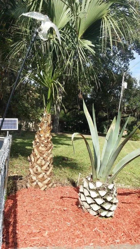 Reliable landscape design in Crystal River, FL - Dickie's Lawn Service