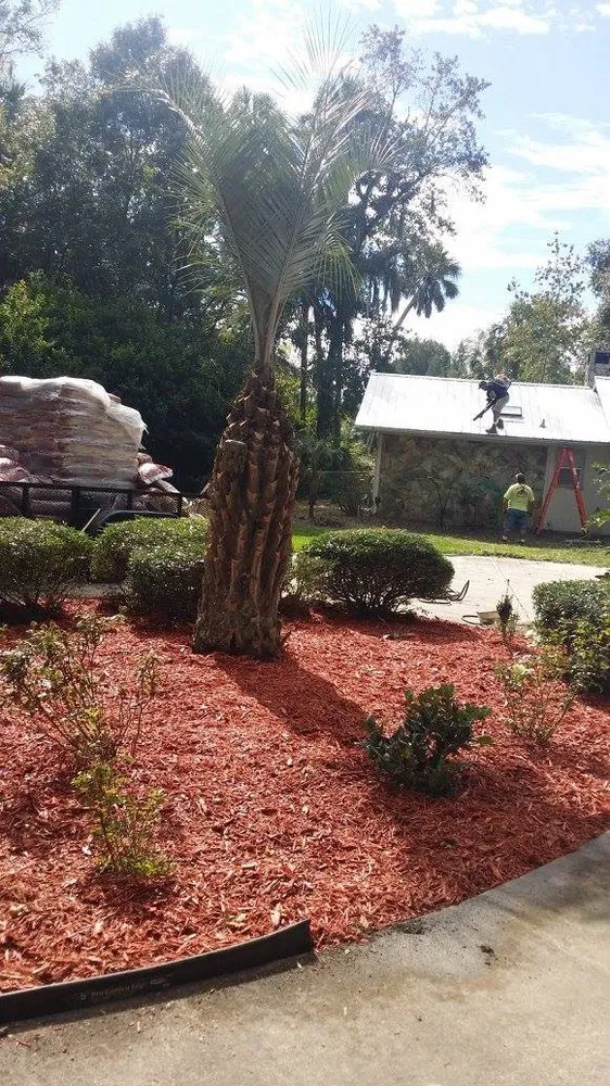 Trusted yard maintenance for outdoor upgrades across Crystal River, FL - Dickie's Lawn Service