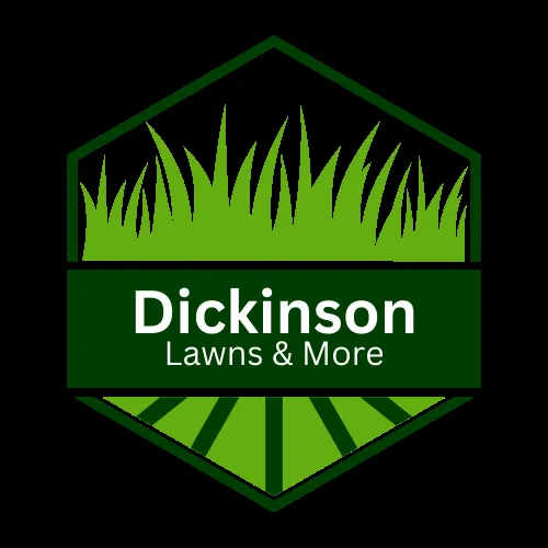 Professional lawn mowing service in Nashville, MI - Dickinson Lawns & More