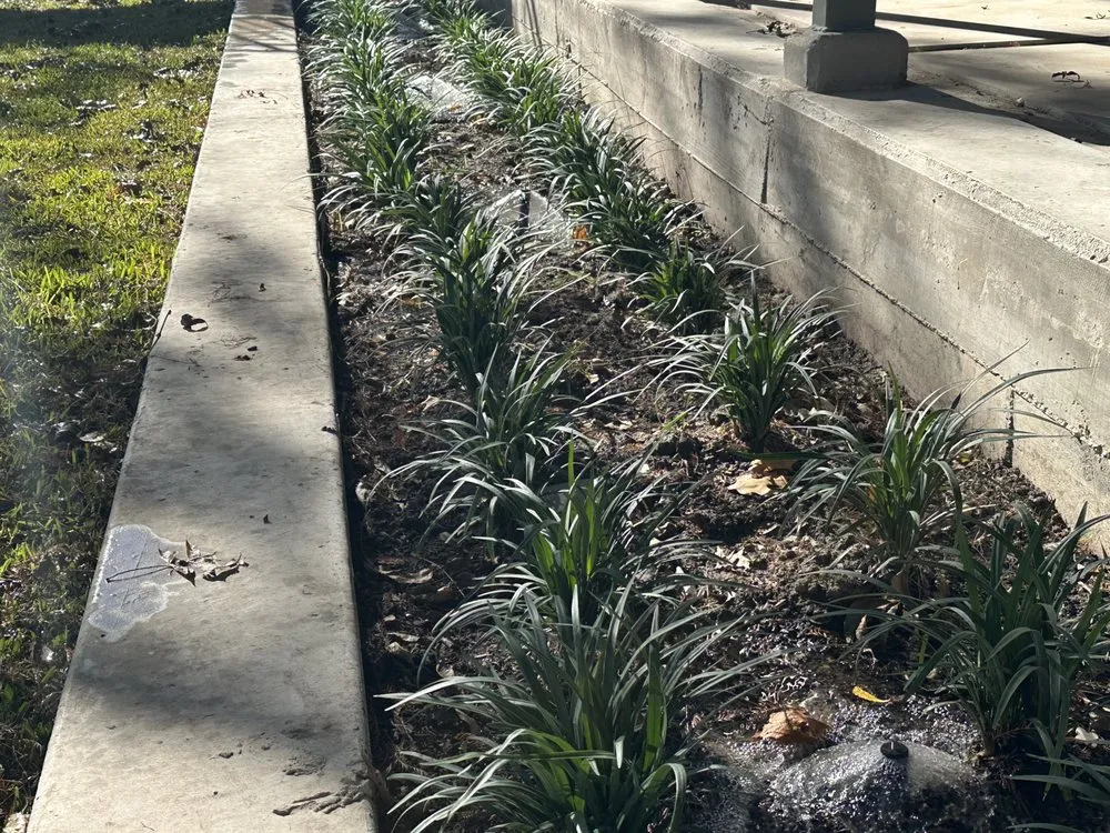 Custom landscape installation in San Antonio, TX - Dickinson Sprinkler & Lawn Seeding