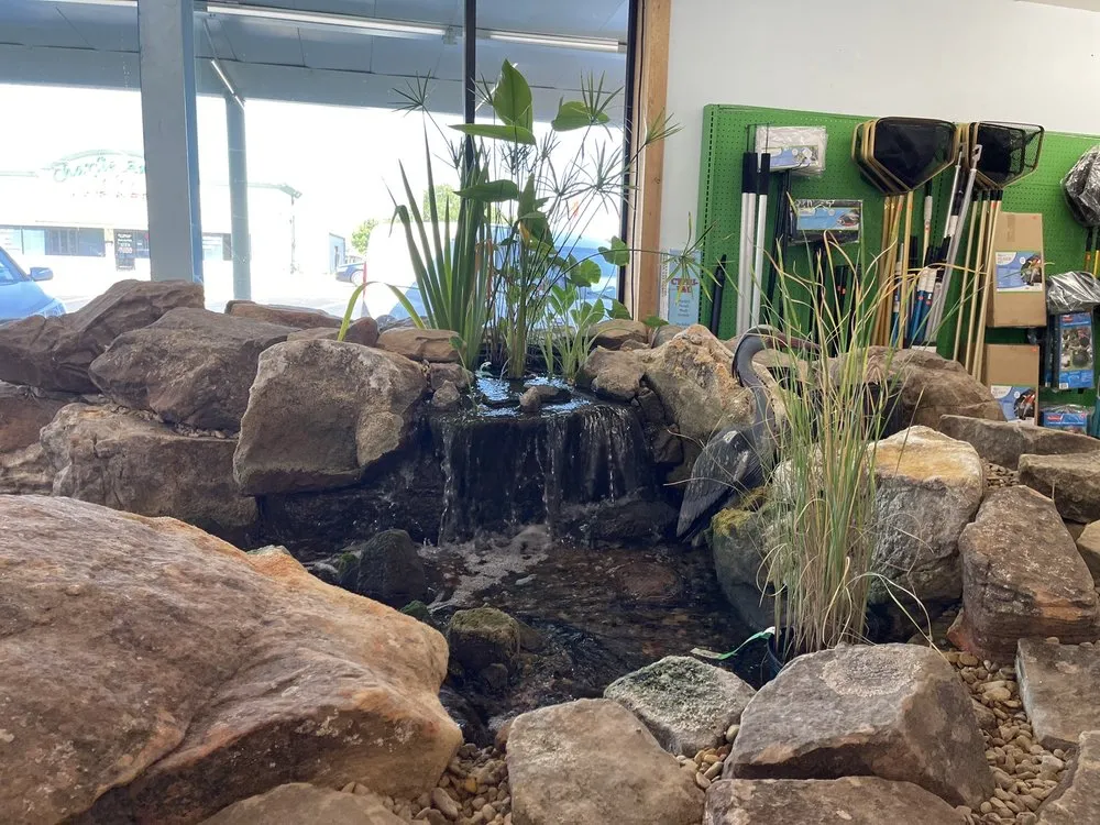 Professional residential landscaping in Mesquite, TX by Dickson Brothers