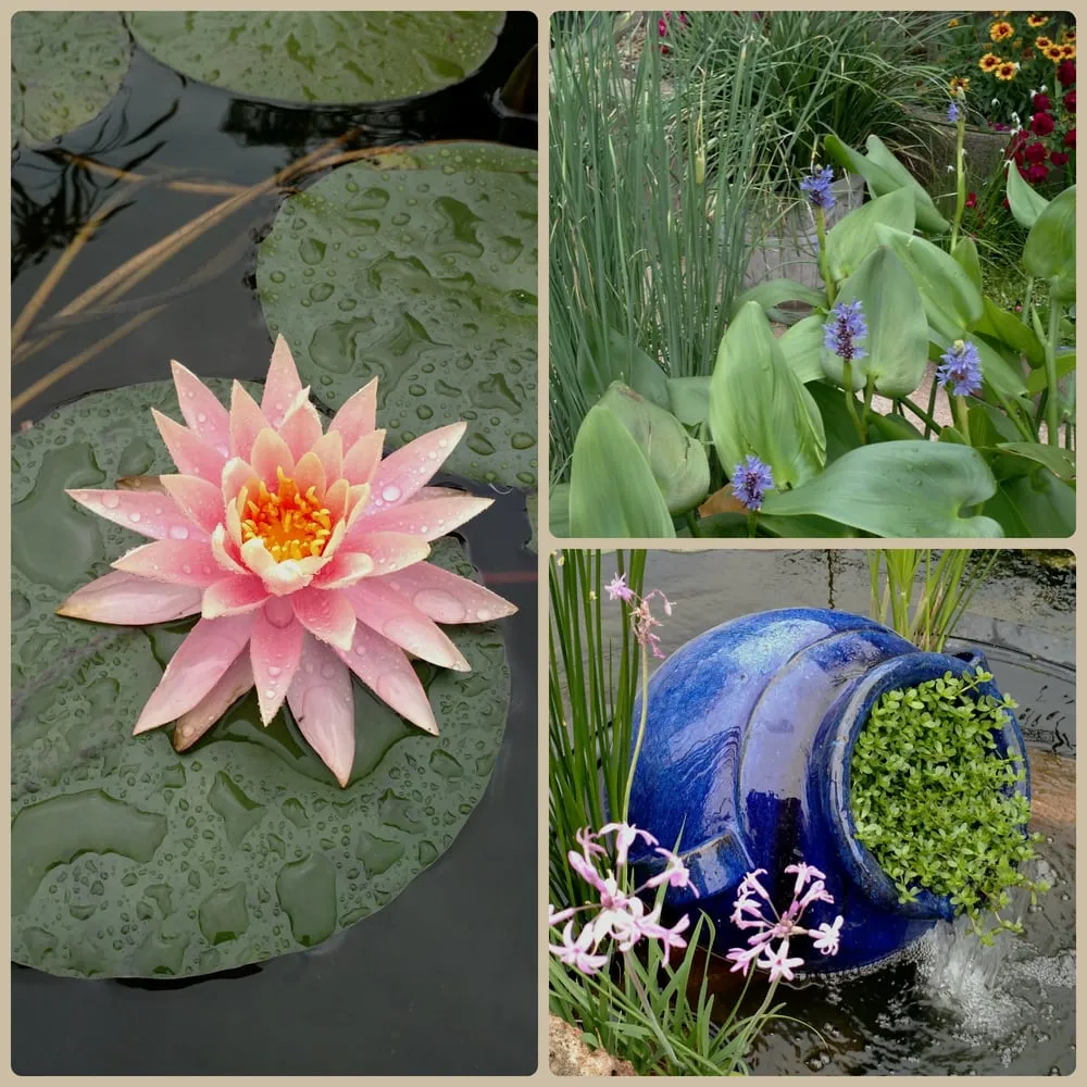 Trusted landscape installation with custom design in Mesquite, TX by Dickson Brothers