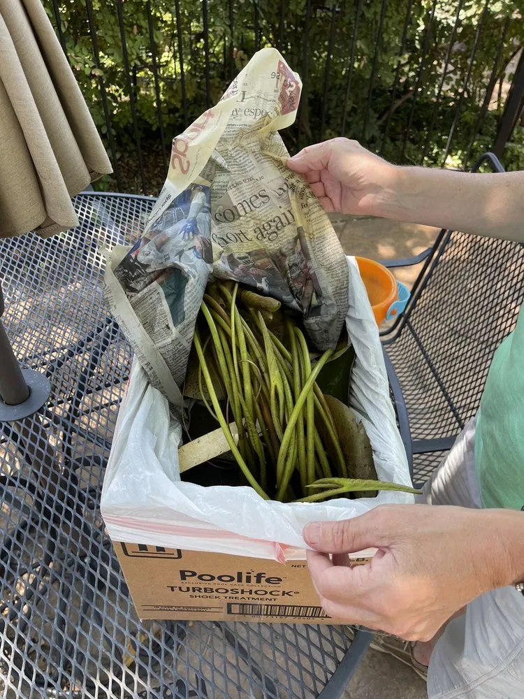 Expert landscape installation for homes across Mesquite, TX - Dickson Brothers