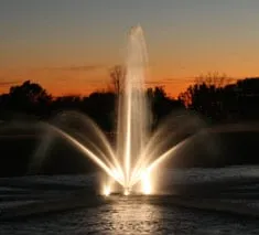 Trusted yard cleanup service experts serving Mesquite, TX - Dickson Brothers