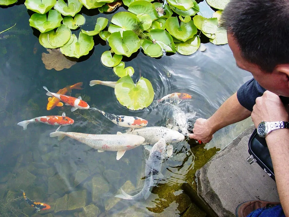 Expert landscape installation in Mesquite, TX by Dickson Brothers