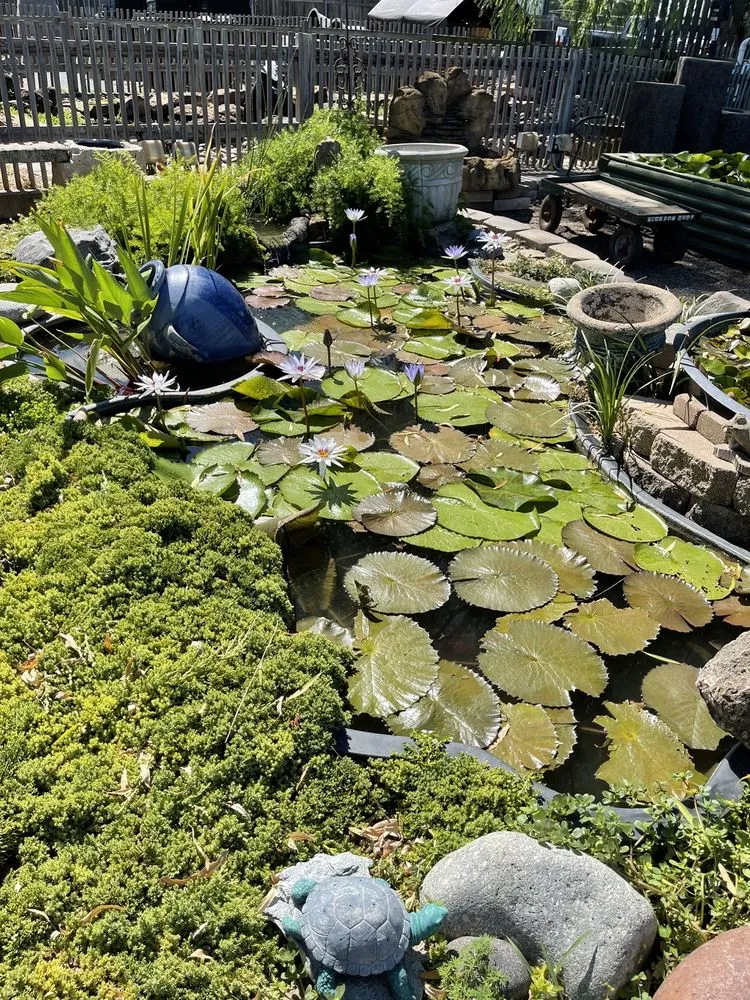 Custom lawn care service experts serving Mesquite, TX - Dickson Brothers