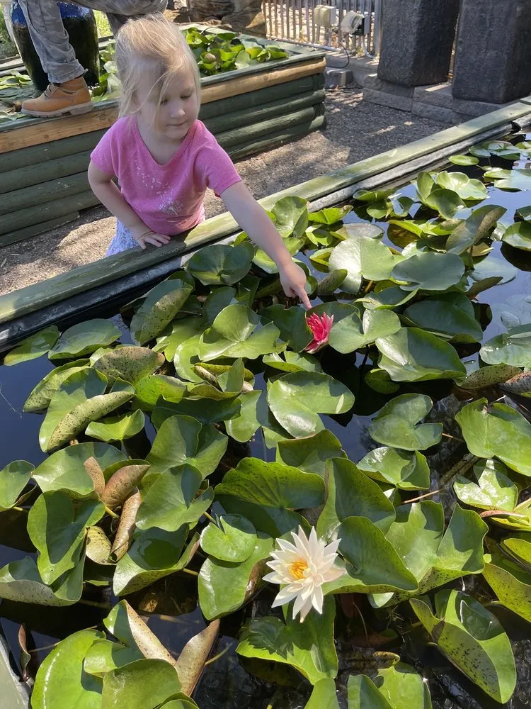 Top-rated landscape installation for outdoor upgrades in Mesquite, TX by Dickson Brothers