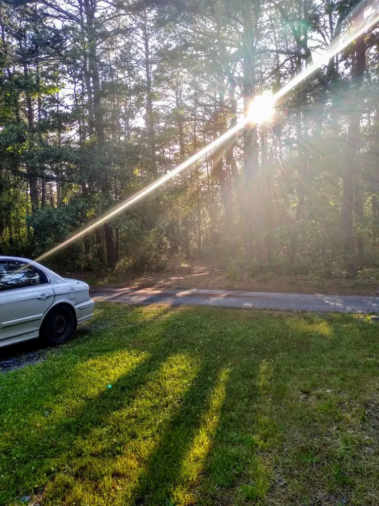 Local garden landscaping for year-round maintenance across Browns Mills, NJ - Dickson’s Lawn Services