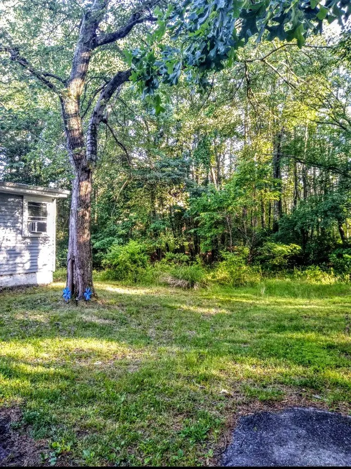 Top-rated landscape design for residential properties in Browns Mills, NJ by Dickson’s Lawn Services