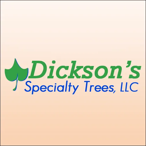 Custom landscaping services for beautiful yards across Centennial, CO - Dickson's Specialty Trees