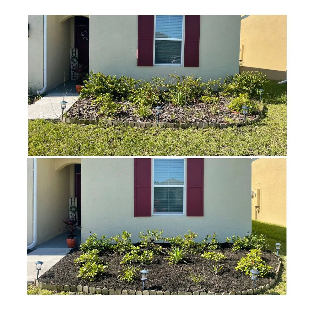 Professional outdoor landscaping in Tampa, FL - Dico Lawn Maintenance