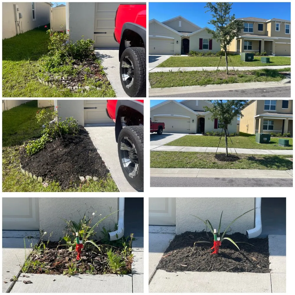 Expert residential landscaping in Tampa, FL by Dico Lawn Maintenance