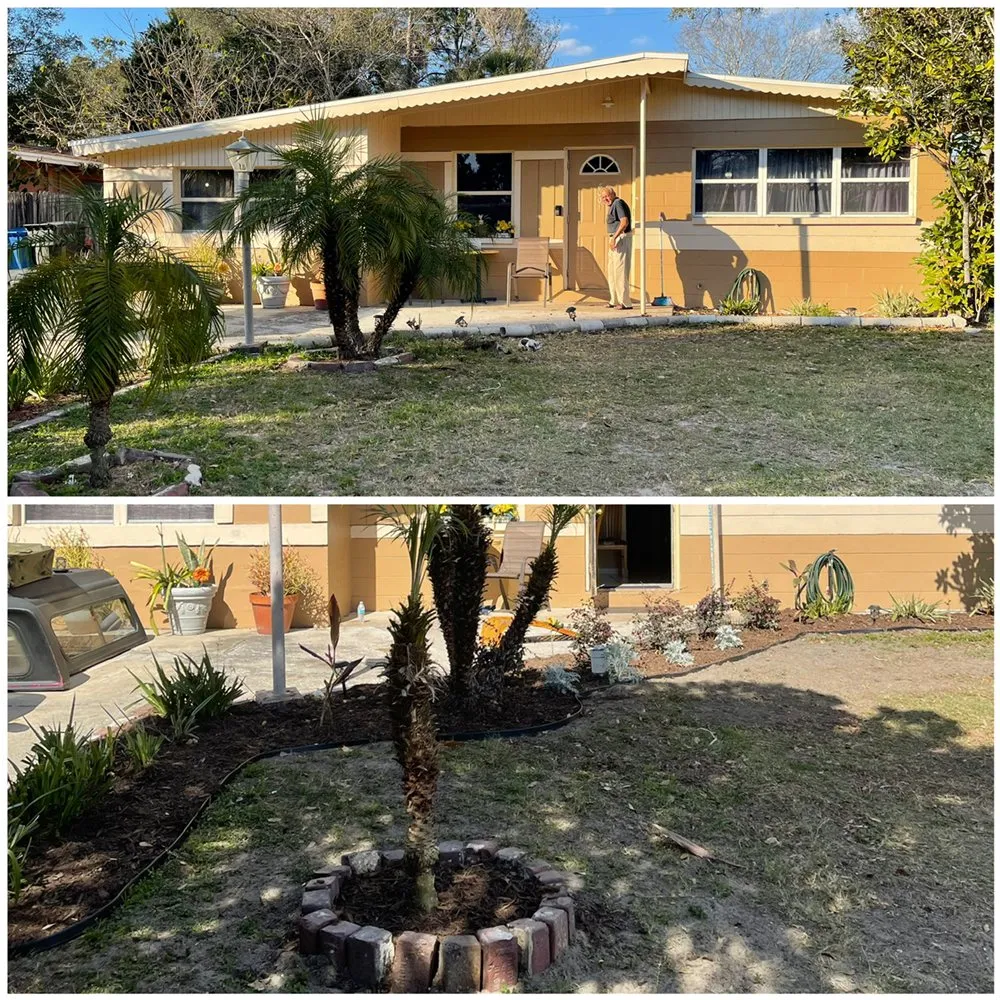 Professional lawn mowing service in Tampa, FL - Dico Lawn Maintenance