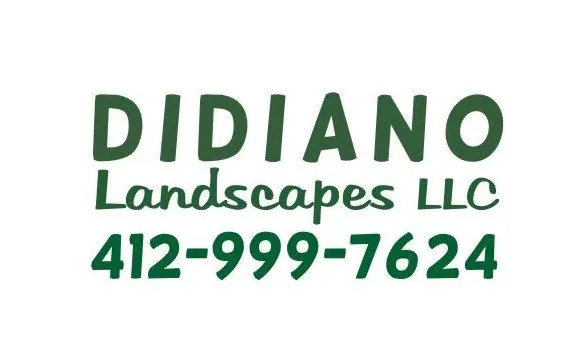 Trusted yard cleanup service experts serving McKnight, PA - Didiano Landscapes