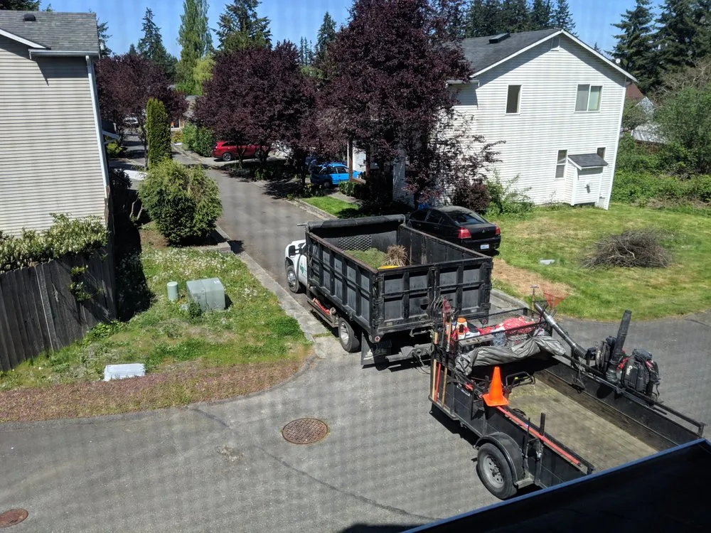 Trusted lawn mowing service in Everett, WA by Diede Dennis Landscape & Maintenance