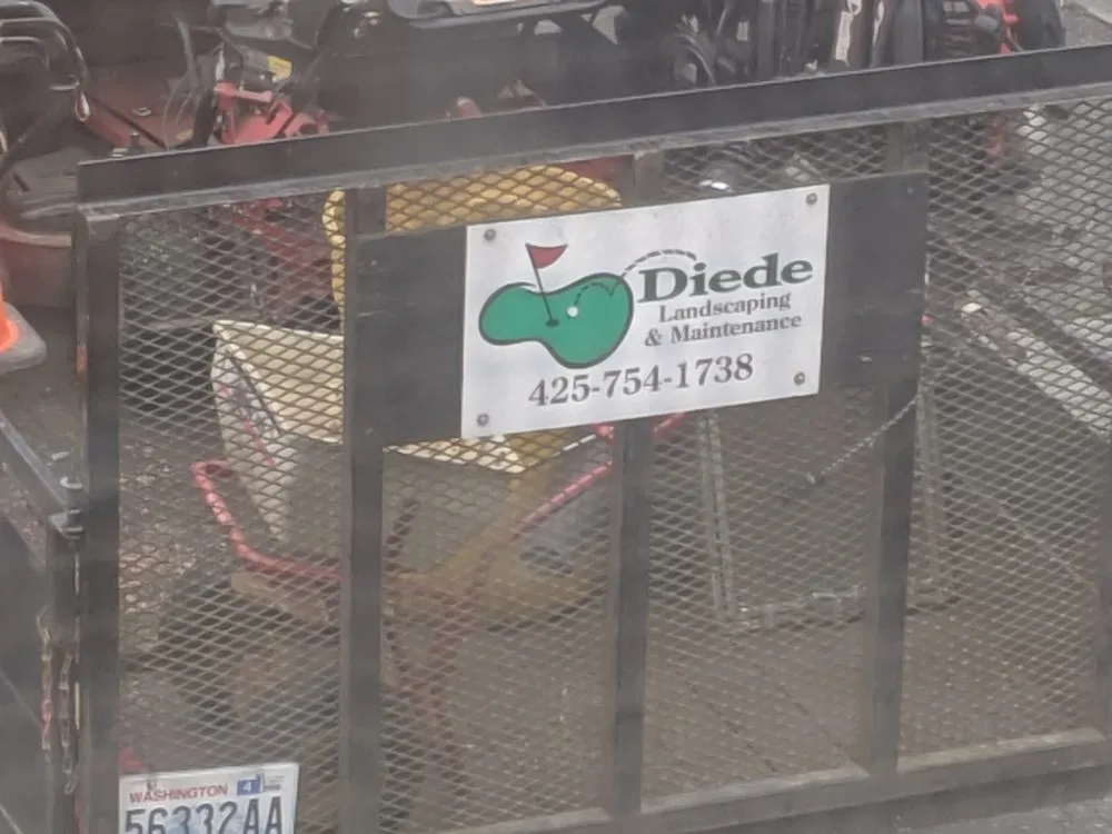 Custom yard cleanup service in Everett, WA - Diede Dennis Landscape & Maintenance