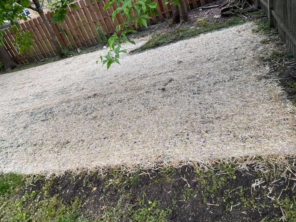 Affordable landscaping services experts serving Elgin, IL - Diego & Brother’s Lawn care