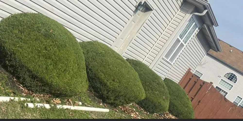 Reliable yard maintenance near you in Elgin, IL by Diego & Brother’s Lawn care