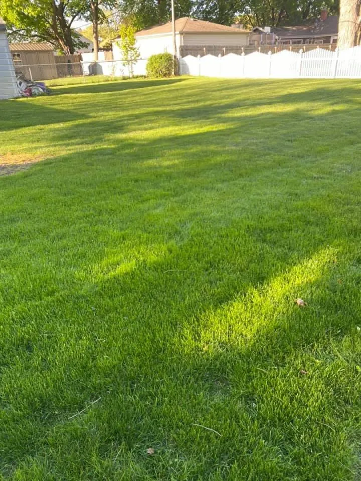 Expert lawn care service for outdoor upgrades in Elgin, IL by Diego & Brother’s Lawn care