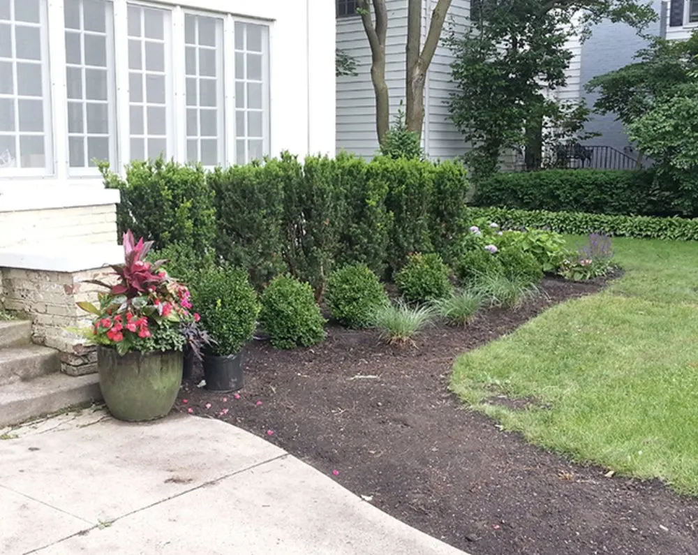 Reliable landscaping services for outdoor upgrades across Evanston, IL - Diego & Gaby's Landscaping