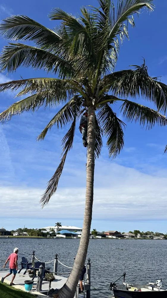 Local yard cleanup service experts serving Fort Myers, FL - Diego Brothers Lawn Care & Lanscaping