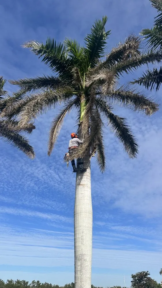 Reliable yard cleanup service in Fort Myers, FL - Diego Brothers Lawn Care & Lanscaping