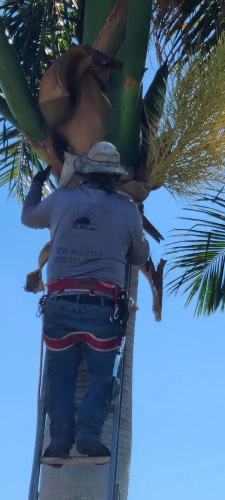 Affordable outdoor landscaping in Fort Myers, FL - Diego Brothers Lawn Care & Lanscaping