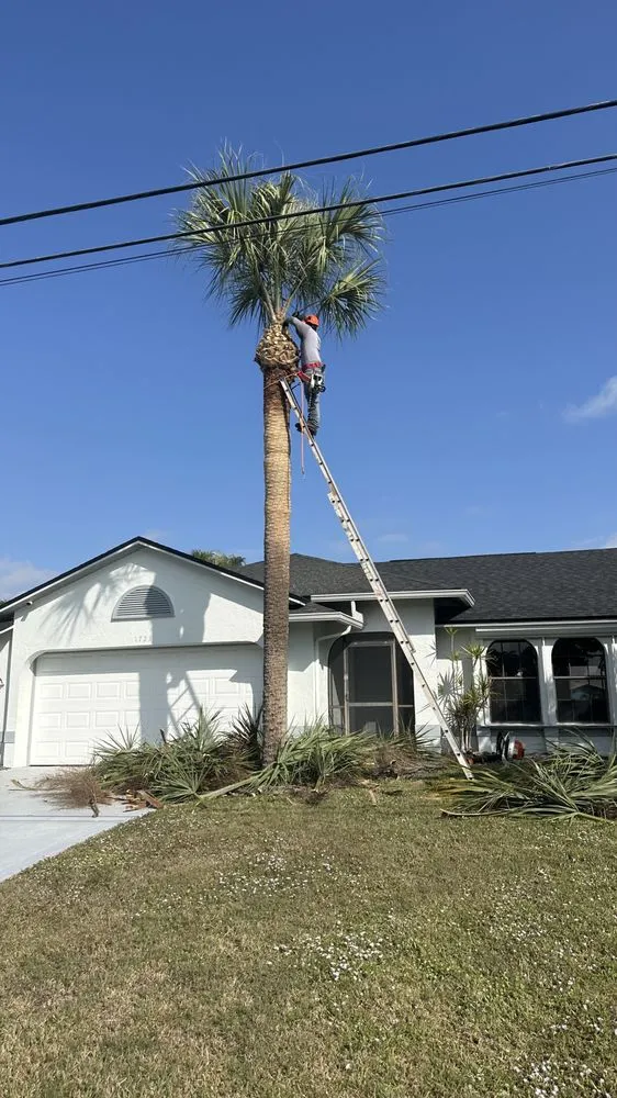 Expert garden landscaping for year-round maintenance across Fort Myers, FL - Diego Brothers Lawn Care & Lanscaping