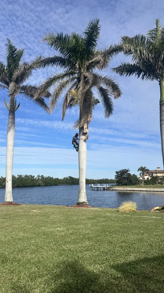 Trusted yard cleanup service in Fort Myers, FL by Diego Brothers Lawn Care & Lanscaping