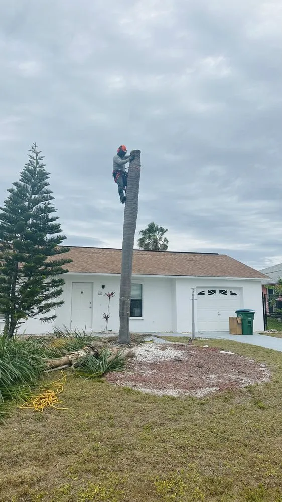 Custom residential landscaping experts serving Fort Myers, FL - Diego Brothers Lawn Care & Lanscaping