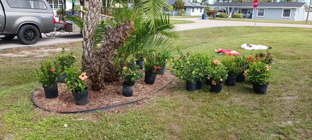 Local outdoor landscaping near you across Fort Myers, FL - Diego Brothers Lawn Care & Lanscaping