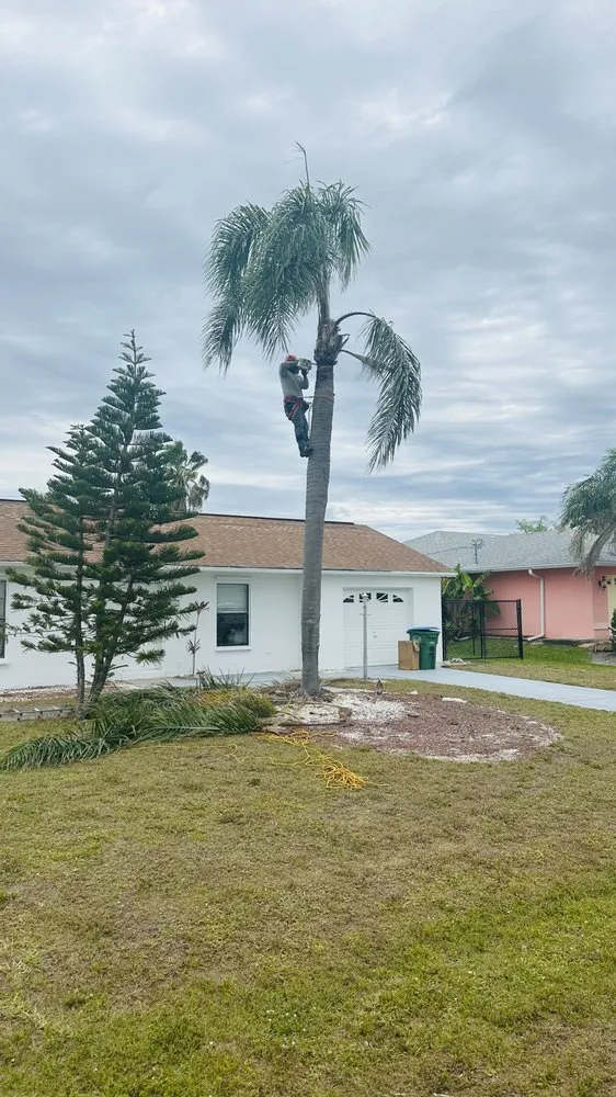 Custom landscape installation for homes across Fort Myers, FL - Diego Brothers Lawn Care & Lanscaping