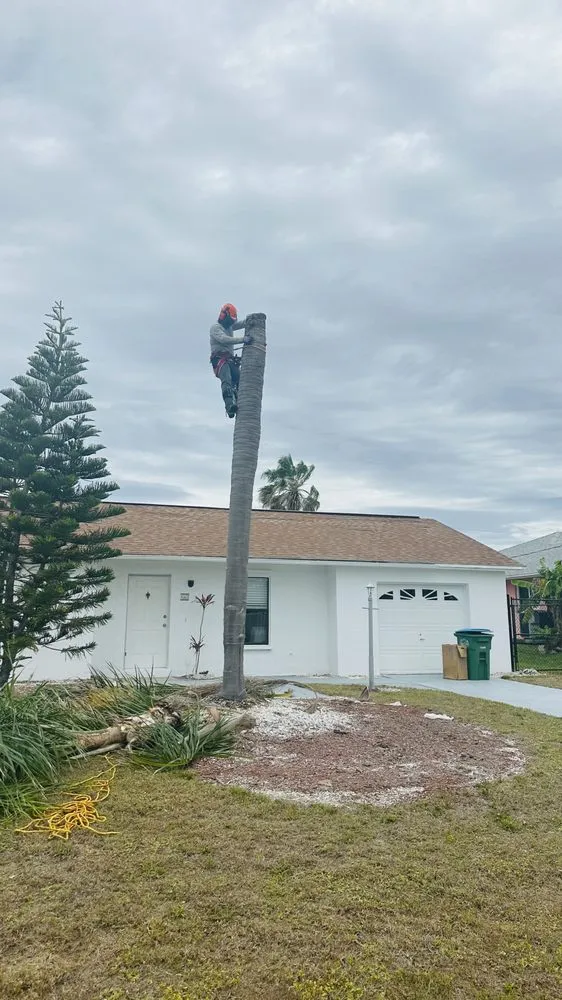 Custom yard cleanup service in Fort Myers, FL by Diego Brothers Lawn Care & Lanscaping