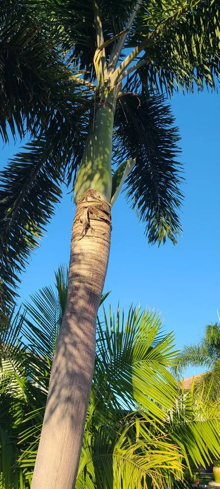 Reliable lawn mowing service in Fort Myers, FL - Diego Brothers Lawn Care & Lanscaping