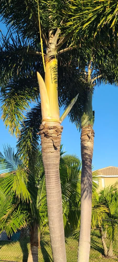 Expert garden landscaping in Fort Myers, FL - Diego Brothers Lawn Care & Lanscaping