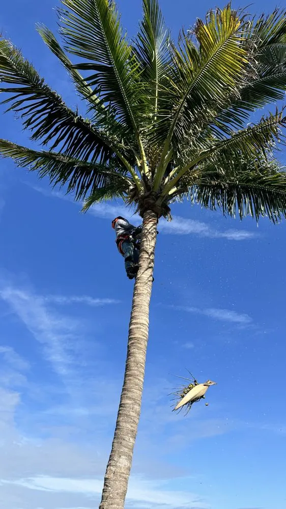 Affordable residential landscaping in Fort Myers, FL - Diego Brothers Lawn Care & Lanscaping