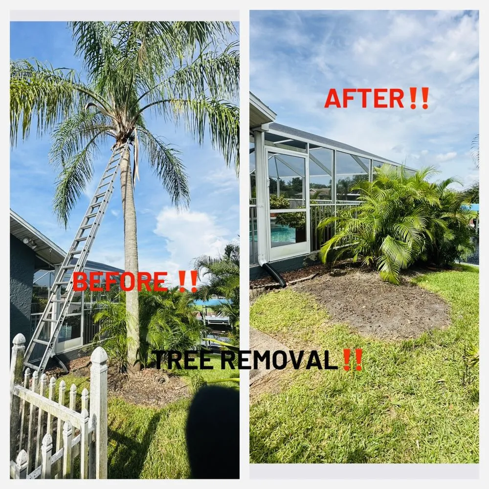 Reliable landscape installation experts serving Fort Myers, FL - Diego Brothers Lawnscaping Services